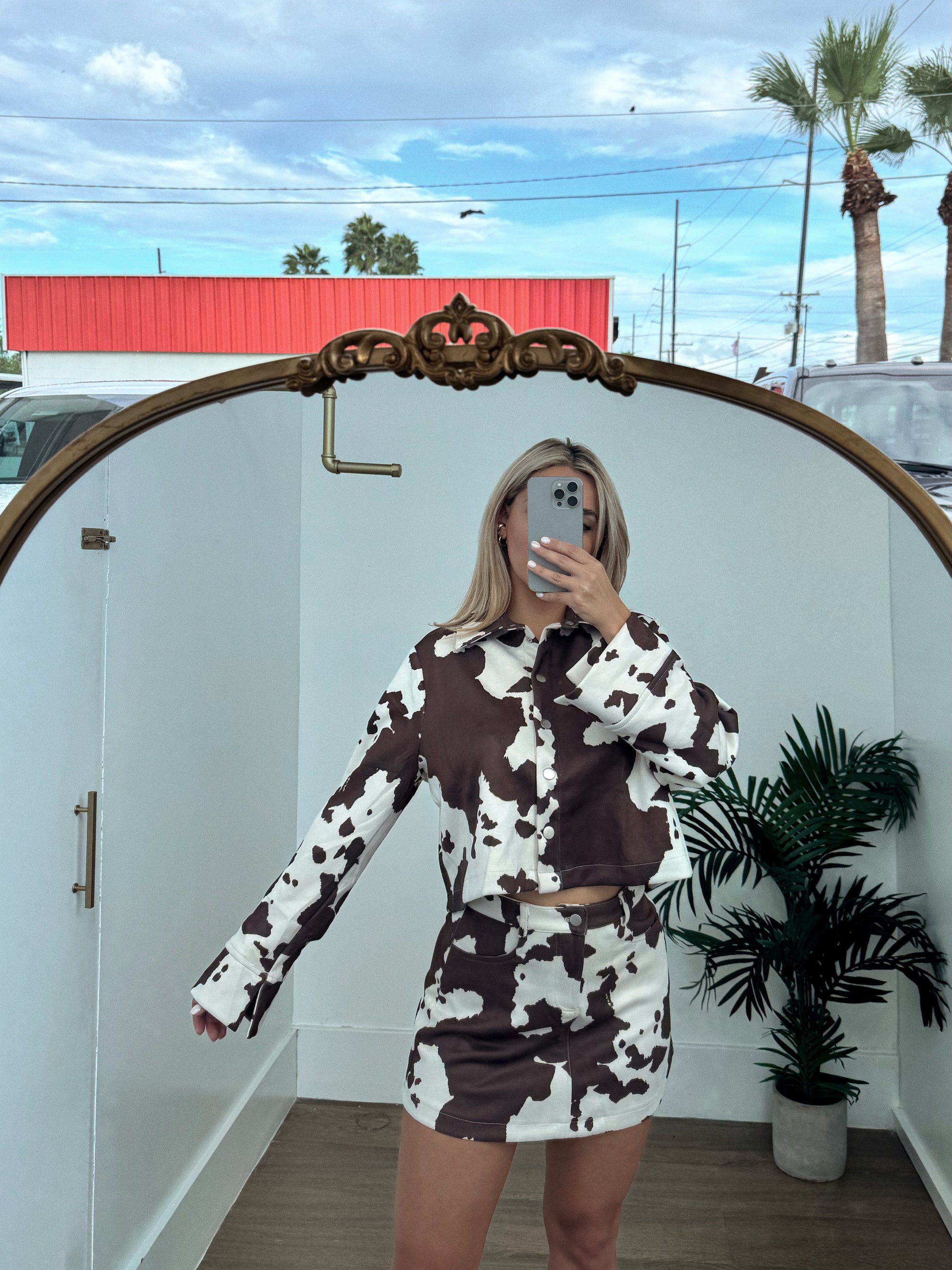 Cow set