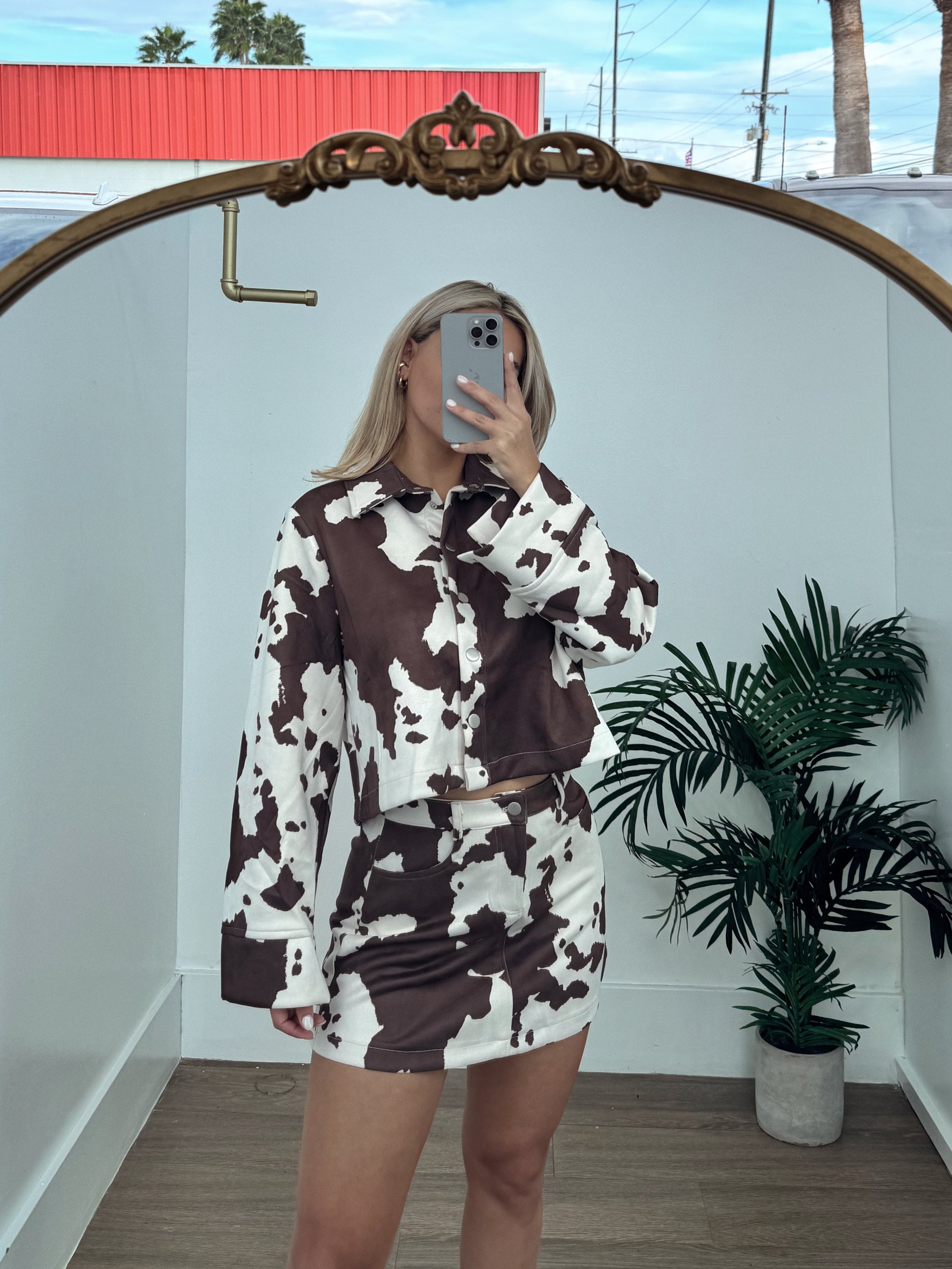 Cow set